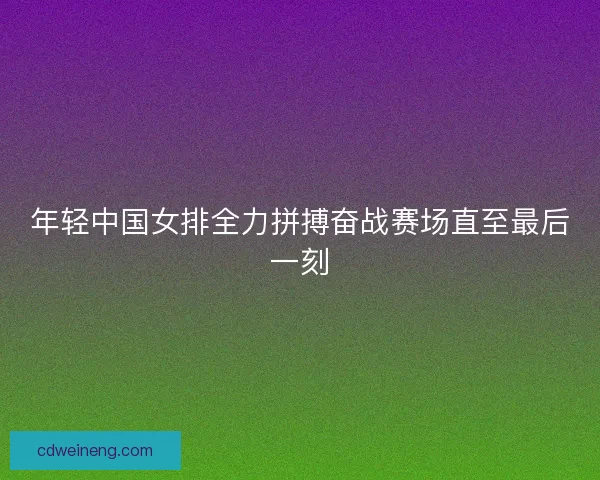 年轻中国女排全力拼搏奋战赛场直至最后一刻